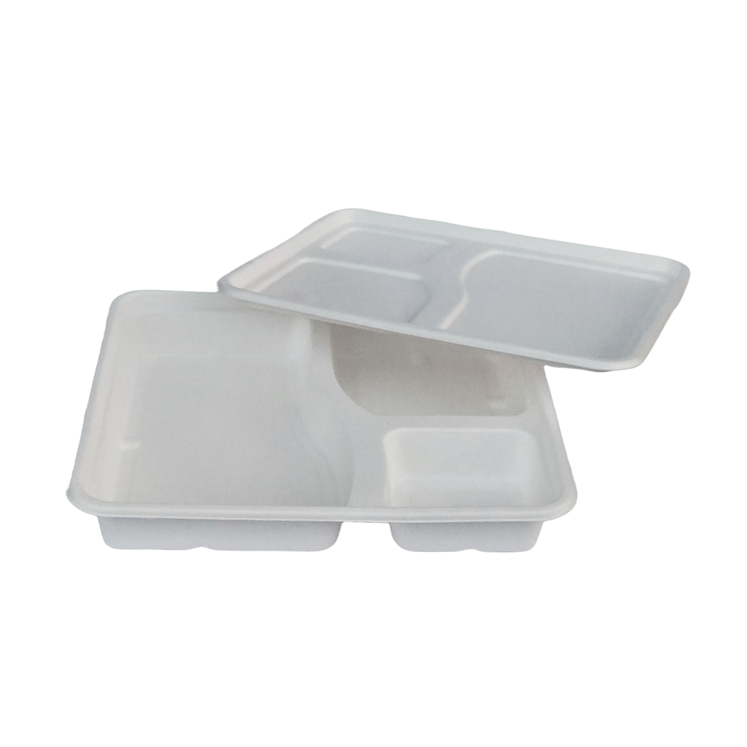 Bagasse Meal Trays